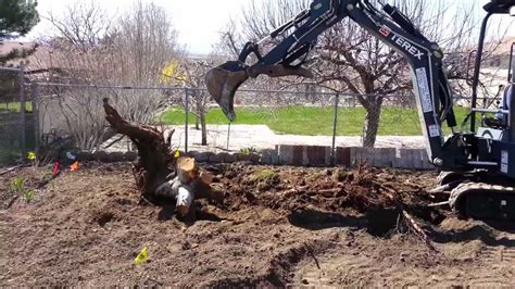 felling a tree with mini excavator|mini tree removal.